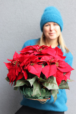 Gwiazda Betlejemska Green Deco, wysokiej jakości sztuczna roślina, wym.43x45cm