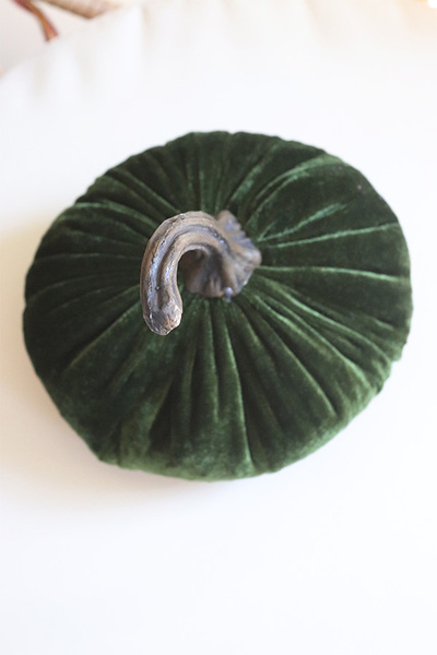 Dynia Veluria, dekoracyjna dynia pluszowa, zielona