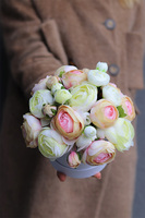 Helina Lucca, flowerbox z pełnikami