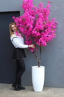 Bugenwilla Fiberglass, sztuczne drzewko w donicy