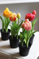 kompozycja z gumowych tulipanów w doniczce