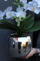 Silveriste Pexel, sztuczny storczyk w lustrzanej donicy