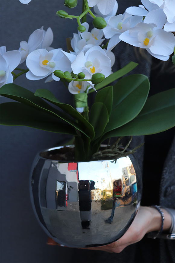 Silveriste Pexel, sztuczny storczyk w lustrzanej donicy