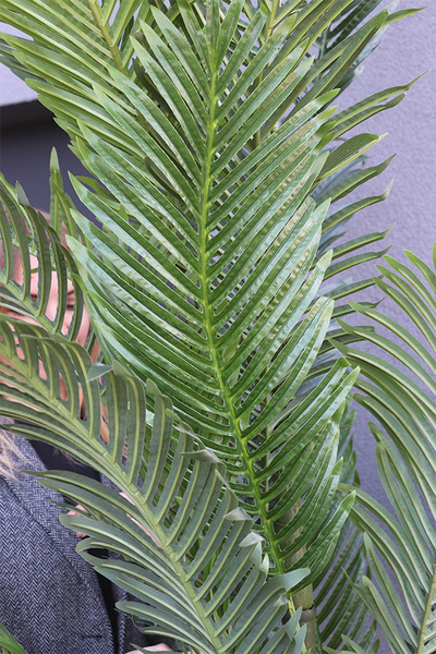 Palma Areca Big, sztuczna roślina w doniczce