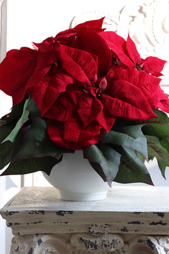 Simplena, wysokiej jakości Gwiazda Betlejemska, wym.38x34cm