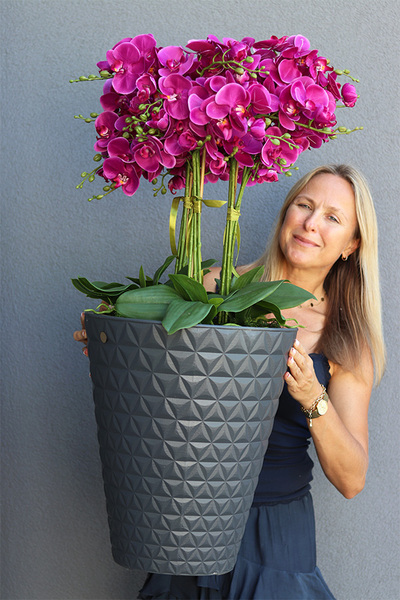 Fuksja Moreno Grande2, duży sztuczny storczyk w antracytowej donicy