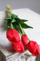 April New, bukiet tulipanów silikonowych Czerwony