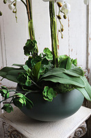 Greenera, storczyk z sukulentami w metalowej misie, wys.88cm 