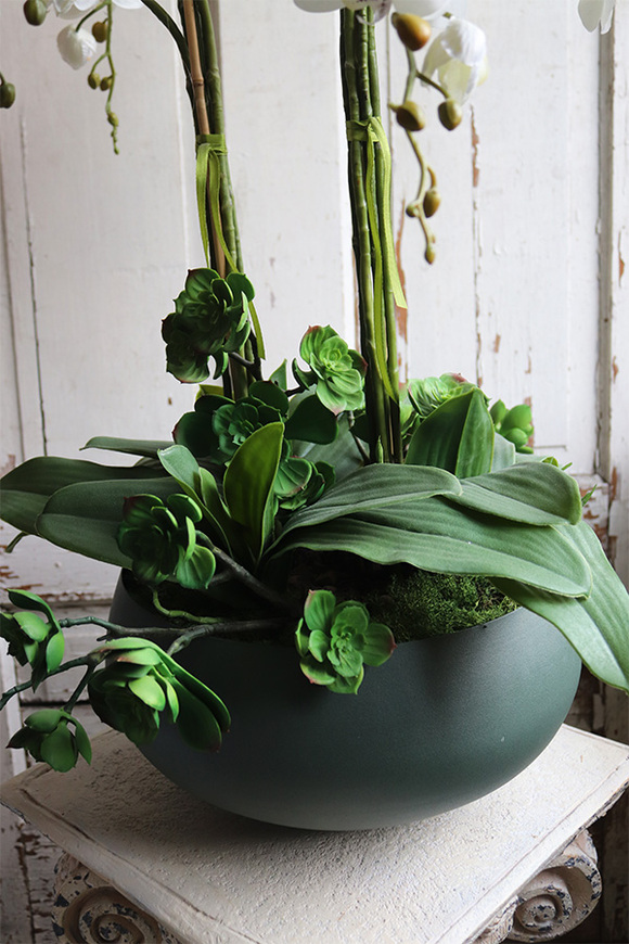 Greenera, storczyk z sukulentami w metalowej misie, wys.88cm 