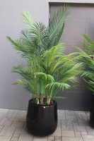 Palma Fiberglass London, sztuczna palma w lśniącej donicy