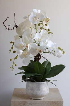 OD RĘKI Biel Mineni 2, stylowy storczyk w doniczce ze wzorem, wys.47cm