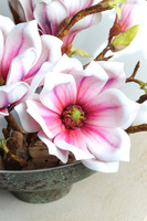 Magnolie Modern, kompozycja wiosenna w naczyniu