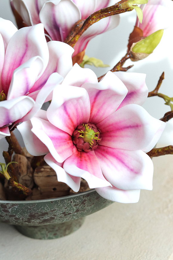 Magnolie Modern, kompozycja wiosenna w naczyniu