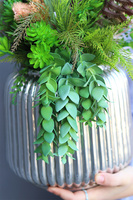 Strelicja Premium Hilton, kompozycja w srebrnej donicy