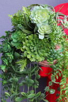 Green Evo, kompozycja sukulenty w lustrzanej donicy