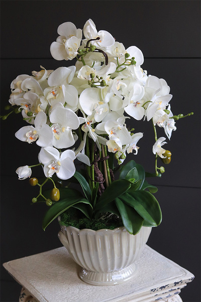 Pearl Embassy, nowoczesny storczyk w ceramicznym pucharze