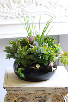 Green Terrance Piano, kompozycja sukulenty w okrągłej donicy