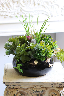 Green Terrance  Piano, kompozycja sukulenty w okrągłej donicy, wym.33x30cm 