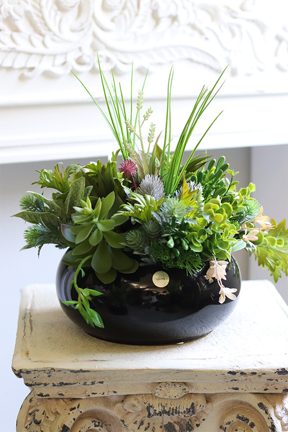 Green Terrance Piano, kompozycja sukulenty w okrągłej donicy