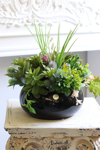 Green Terrance Piano, kompozycja sukulenty w okrągłej donicy