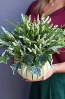 Wrzosy w Domu, kompozycja kwiatowa w drewnianej osłonce, wym.30x30x26cm