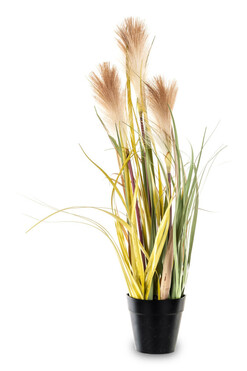 sztuczna trawa Pióropusze, beige, wys.56cm