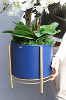 Neomi Big, sztuczny storczyk w niebieskiej donicy na stojaku