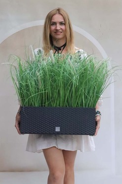 OD RĘKI Jessi Summer, kompozycja traw w grafitowej donicy, wym.64x51.5cm