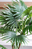 Palma Livistona Young, sztuczna roślina w doniczce