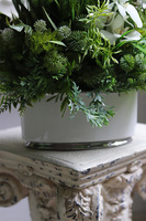 Grenoa Glamour 3, kompozycja z trawą i storczykiem