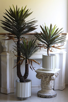 Jukka Miami Small, sztuczna roślina w donicy