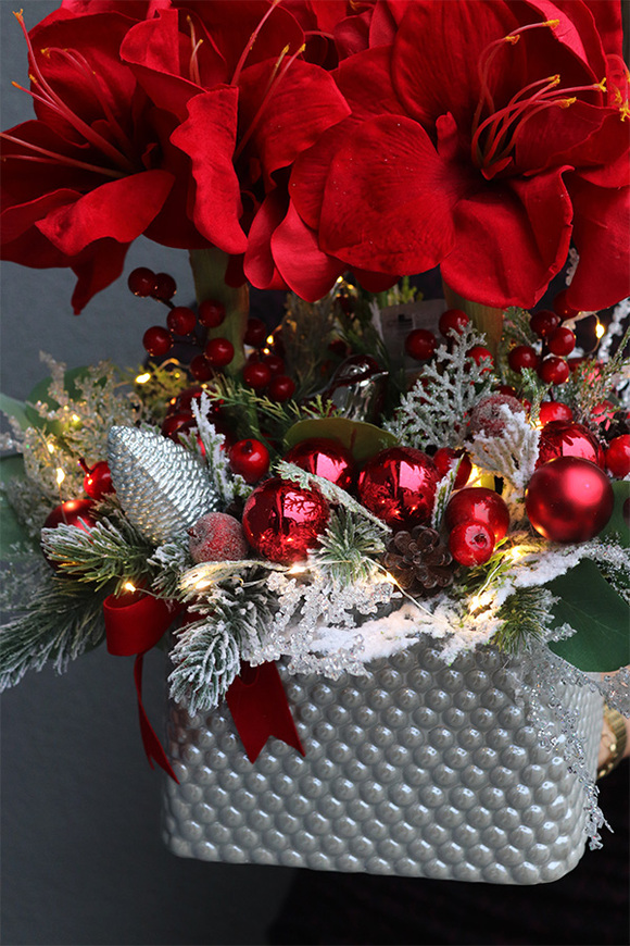 Amarylis Winter Premium 2, świąteczny stroik z czerwonym amarylisem