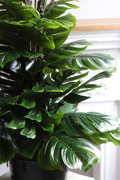 Monstera Saute 2, sztuczna roślina do twojej donicy