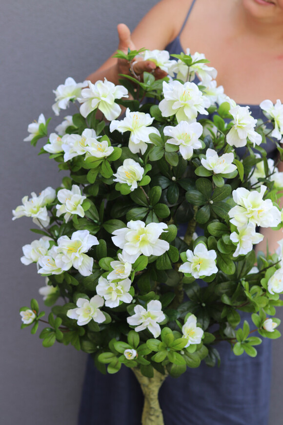 Azalia Concrete, sztuczna roślina w betonowej donicy