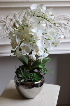 Silver Suculenti, sztuczny storczyk w lustrzanej donicy, wys.62cm