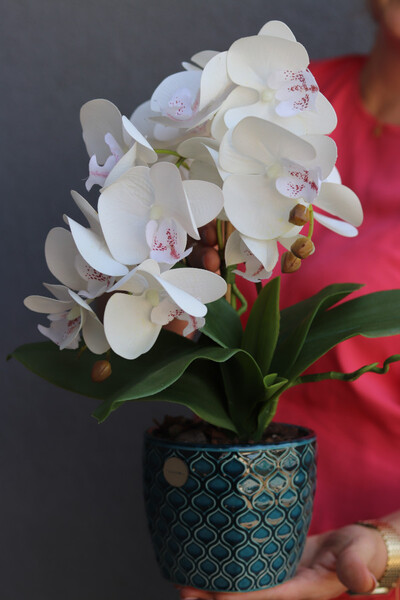 Turkusi, sztuczny storczyk w ozdobnej donicy