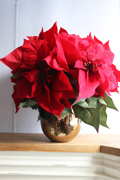 Gwiazda Betlejemska Copper, wysokiej jakości sztuczna roślina, wym.46x40cm