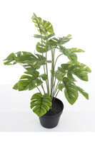 Monstera C, sztuczne drzewko w osłonce / donicy, wym.50x40x40cm