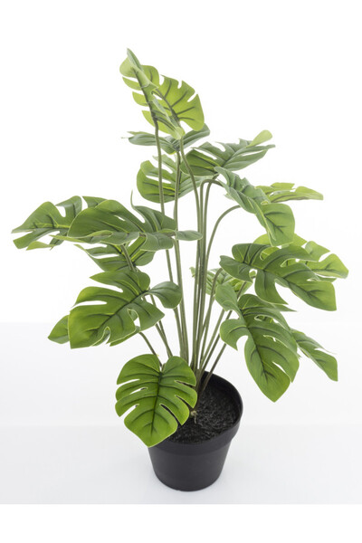 Monstera C, sztuczne drzewko w osłonce / donicy, wym.50x40x40cm