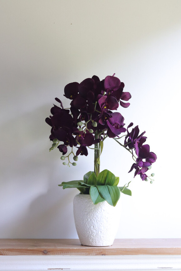 Purple Belia , fioletowy sztuczny storczyk w donicy