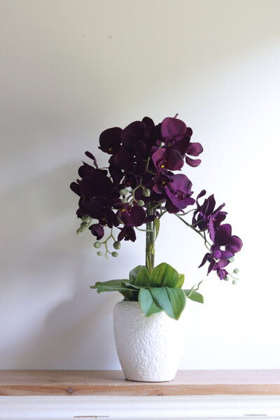 Purple Belia , fioletowy sztuczny storczyk w donicy