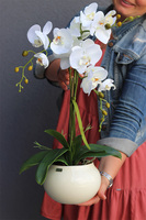 Grefina, sztuczny storczyk w kremowej donicy, wys.50cm