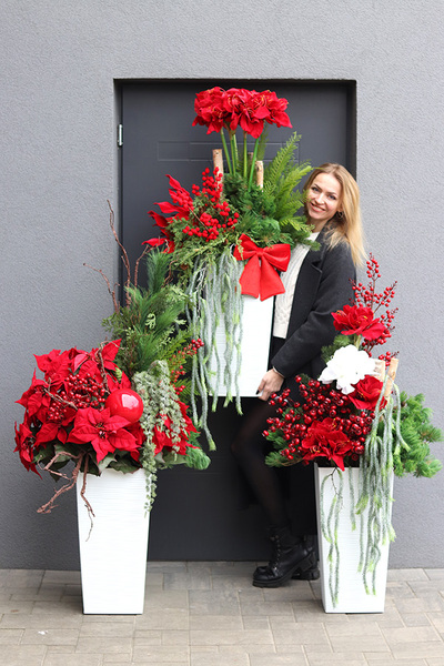Amarylis Mediolan Winter, świąteczna dekoracja podłogowa