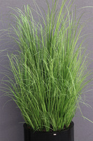 Fiberglass Black Big, trawa w czarnej donicy fiberglass