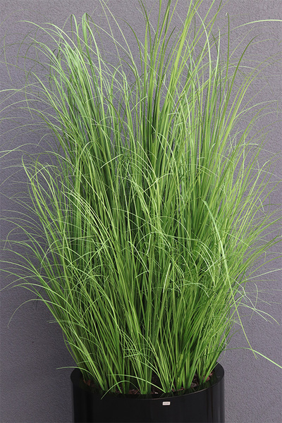 Fiberglass Black Big, trawa w czarnej donicy fiberglass