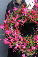 Różowa Pogoda, kwiatowy wianek na drzwi