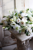 Keria Ladina, kompozycja kwiatowa w cynowanym naczyniu, wym.41x68cm 