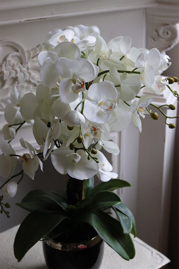 Black Decoris, sztuczny storczyk