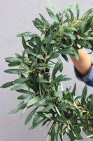 Oliwny Gaj, zielony wianek na drzwi z oliwkami