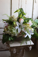 Lilie, kompozycja nagrobna w naczyniu, wym.50x76cm 